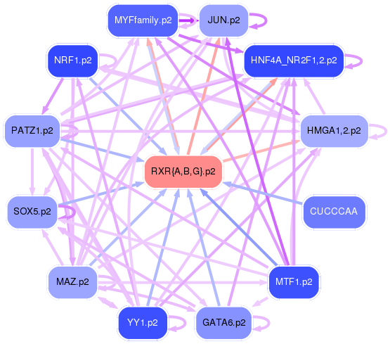 PNG image of the network